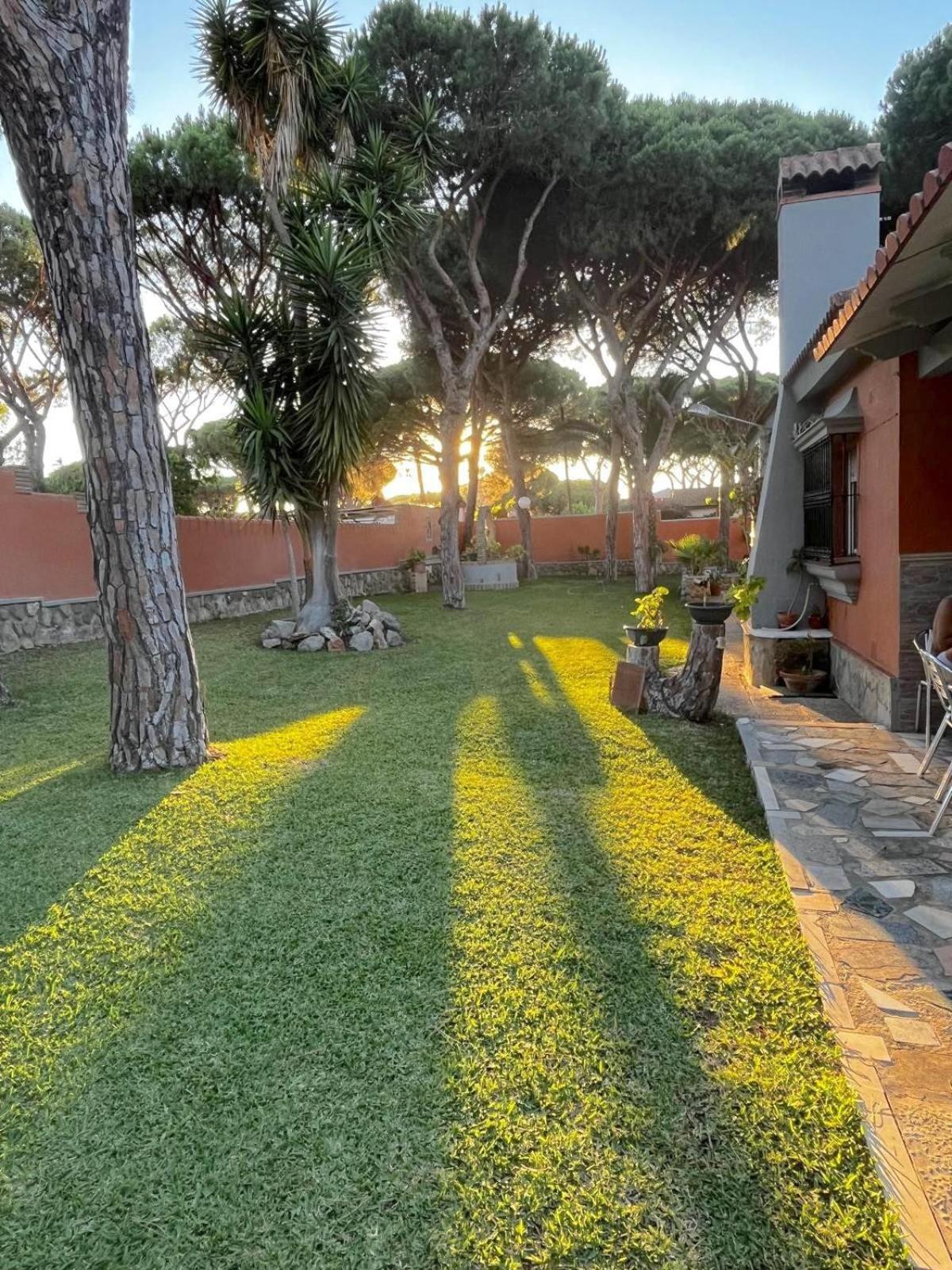 Chalet Los Pinos Con Piscina Privada Novo Sancti Petri Eksteriør billede